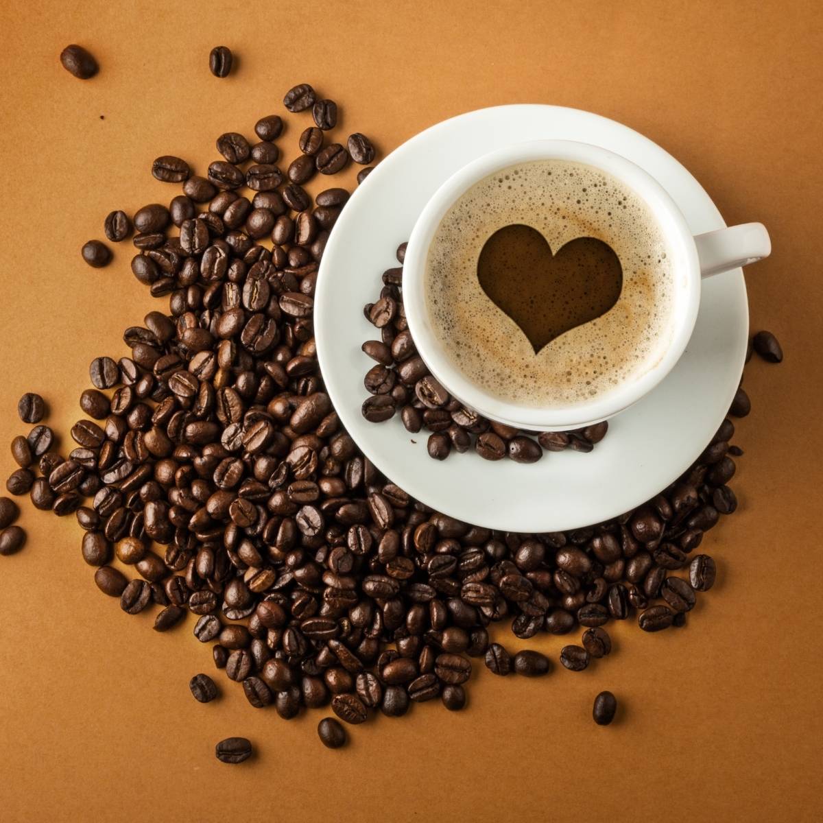 Caffeine Guide Blog Patch Brand The Patch Brand