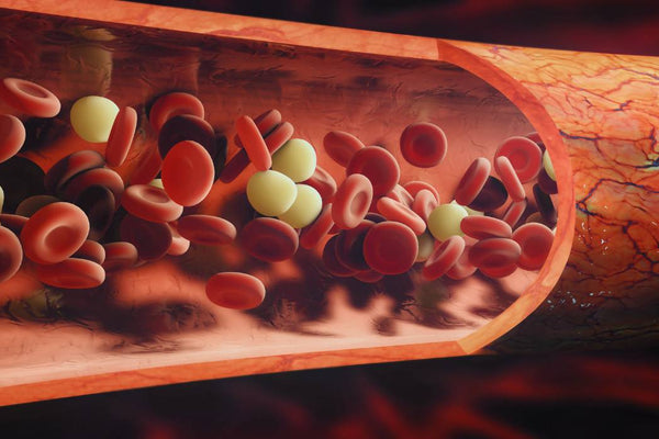 the best vitamin patches