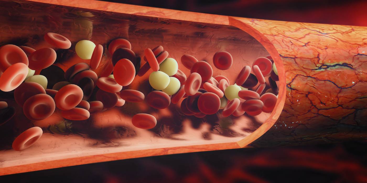 Best Vitamin Patches to Improve Blood Flow | The Patch Brand