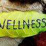 wellness patches